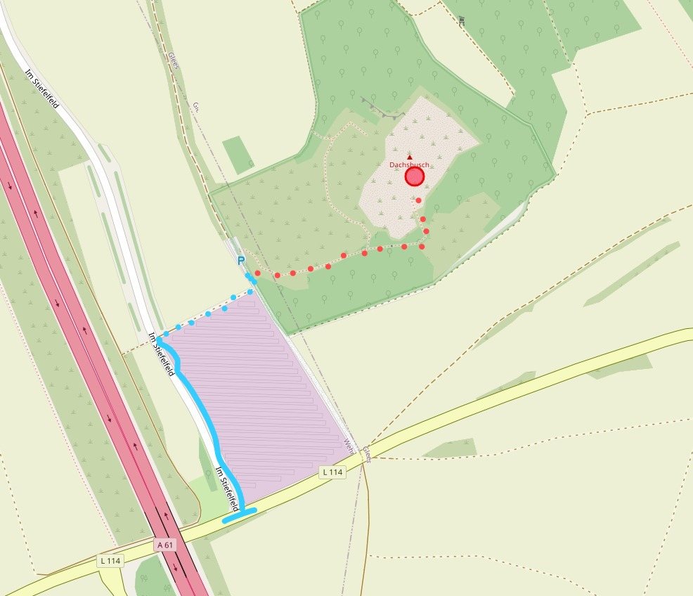 Eine Karte von OpenStreetmap zeigt eine Straße von Oben. Darin eingezeichnet: Dachsbusch, in der Nähe vom Laacher See.